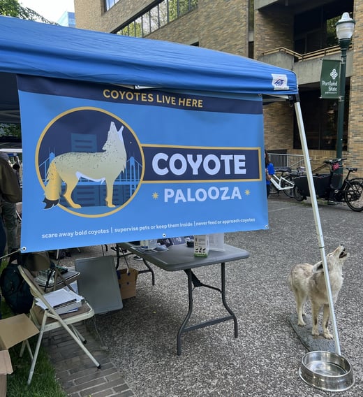 Coyote-palooza_ODFW_BQ4 (1)-1