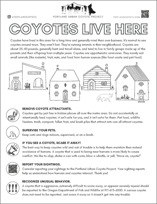 CoyoteFactSheet_ColorableEnglish
