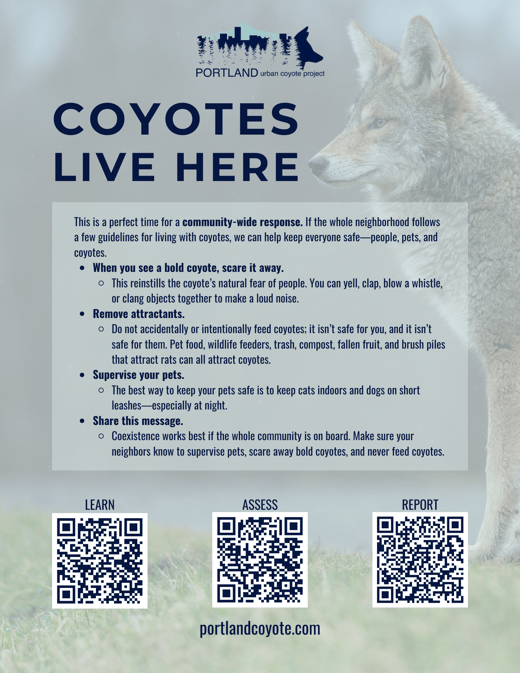Coyotes Live Here Flyer