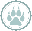 Coyote paw