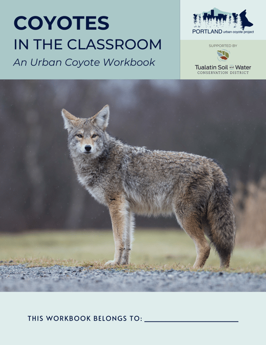 PUCP Workbook