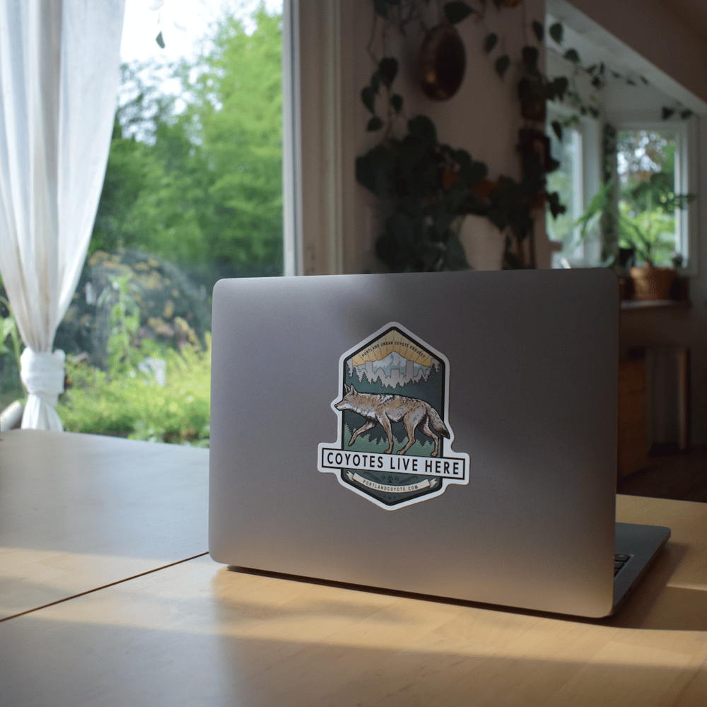 laptopimage